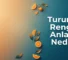 Turuncu Rengin Anlamı Nedir